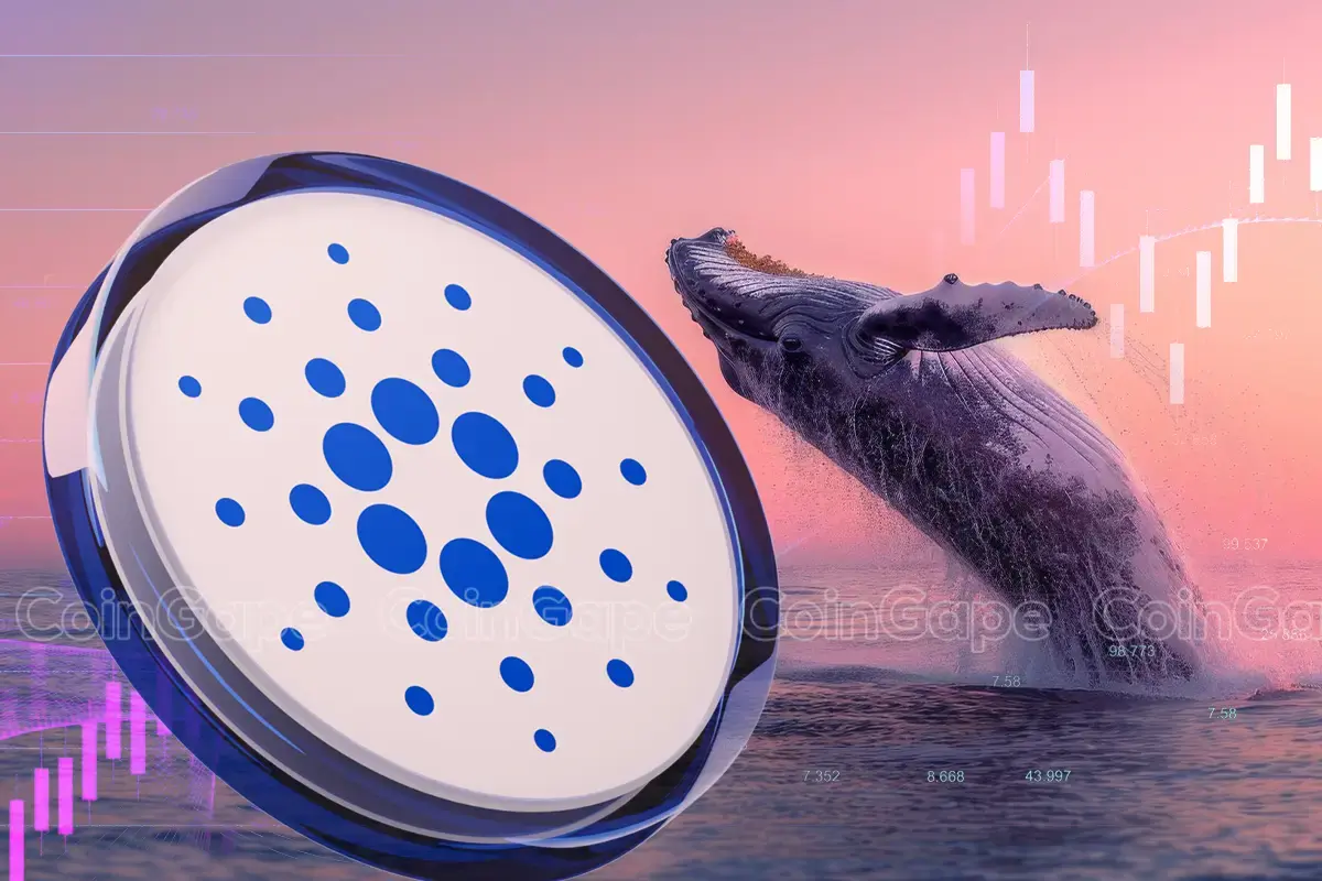 Can Cardano Price Reach $1 As Whales Gobble 130 Million ADA