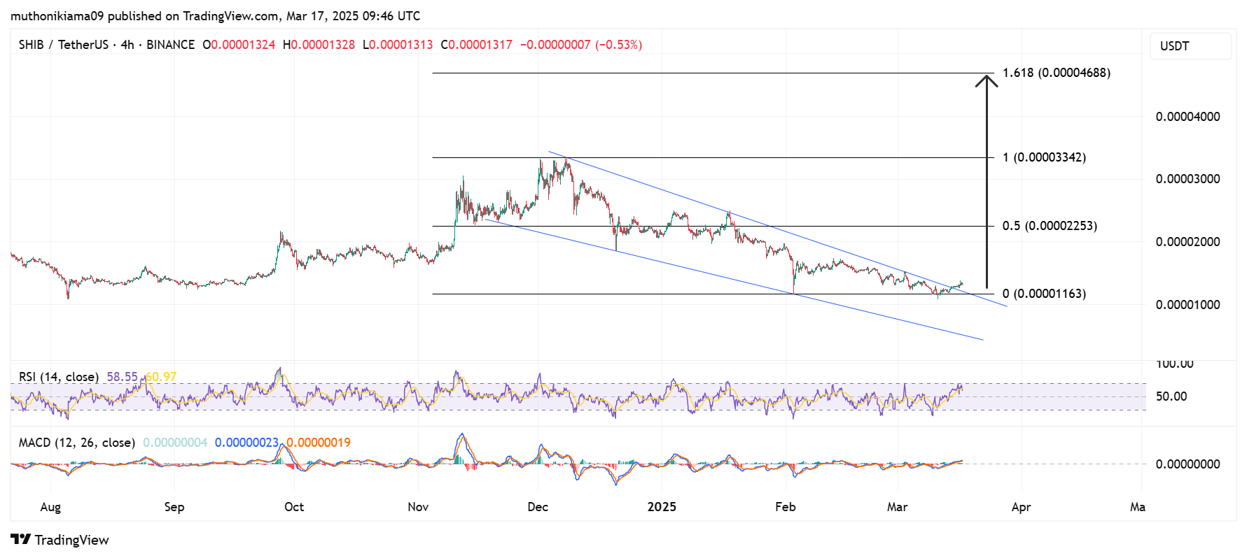 Analyst Predicts When Shiba Inu Price Could Hit 2X & 3X