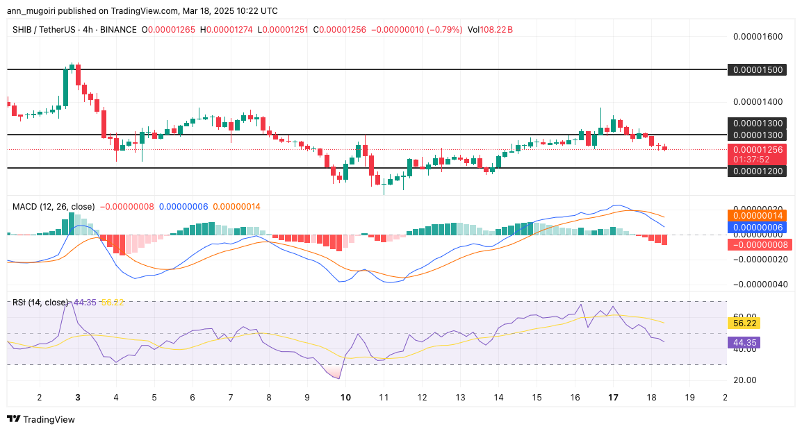 Should You Buy SHIB if Shiba Inu Price Can Rally 500% Before April?