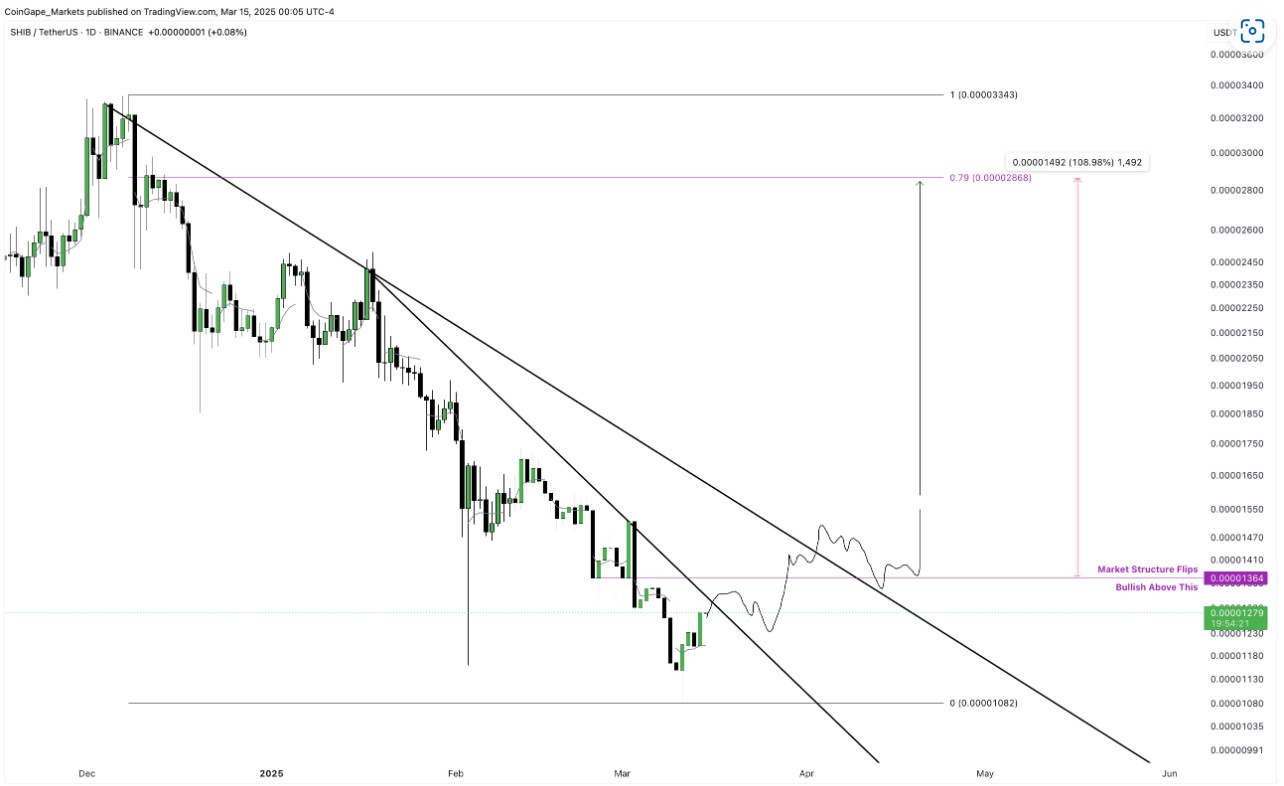 When Will 100 Day Shiba Inu Price Downtrend End?