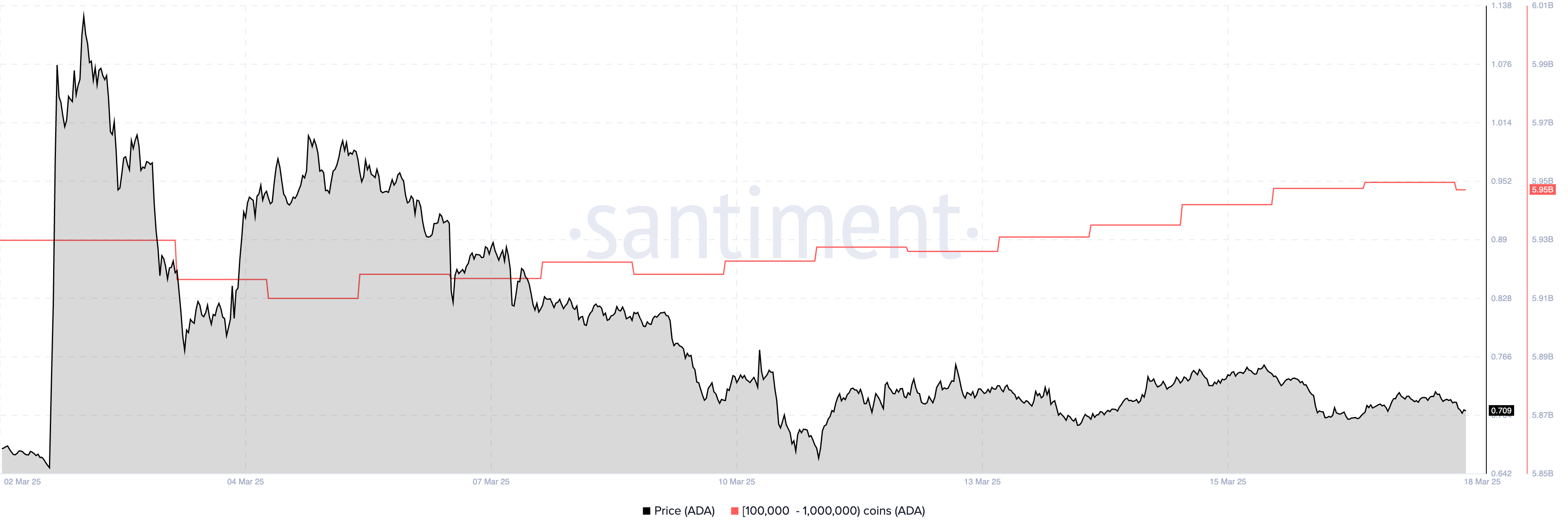 Is Cardano Price Set to Hit $1 as Whales Buy 40M ADA?