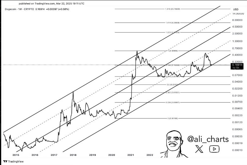 DOGE Price