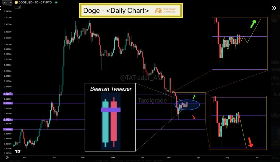 DOGE price