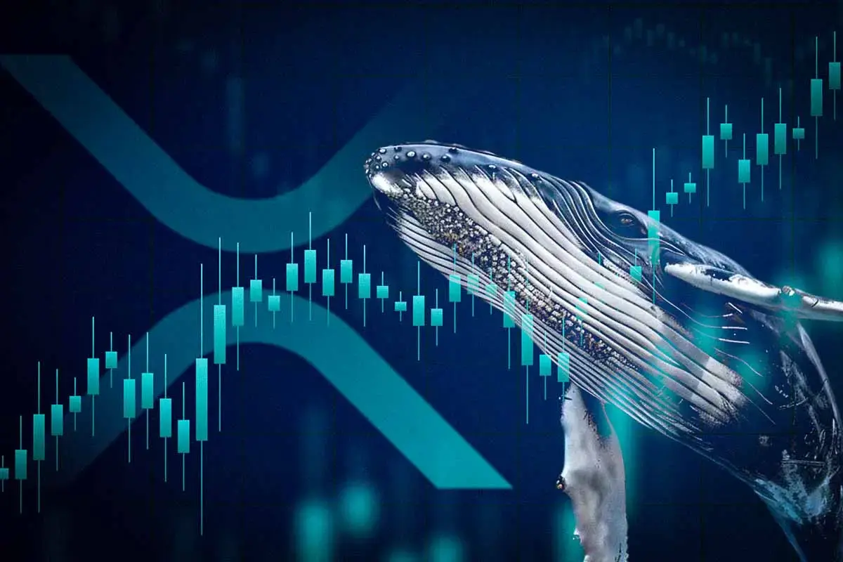 Can XRP Price Reach $3 This Week? Bullish Pattern Emerges as Whale Opens $5M Long Position