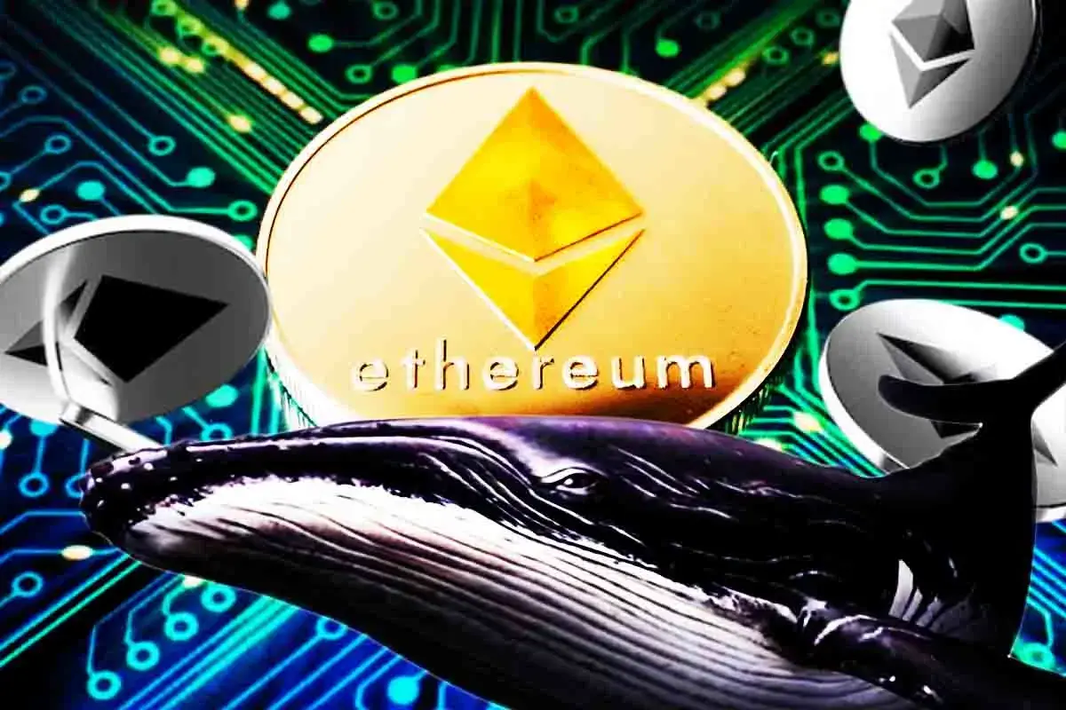 Ethereum News: ETH Accumulation Hits New Highs As Whales Move 150k Coins