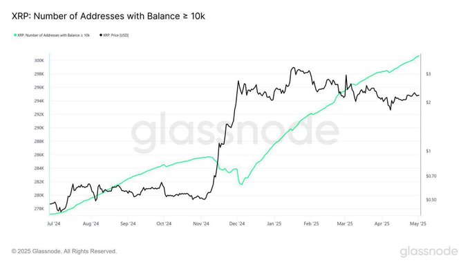 XRP Whale Accumulation