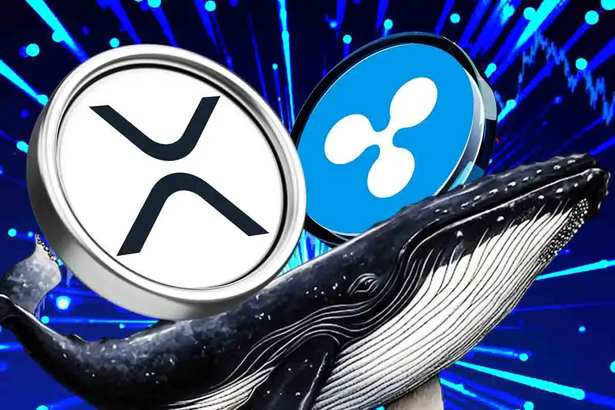 Ripple Whales Move $300M, XRP Price Rally Ahead?