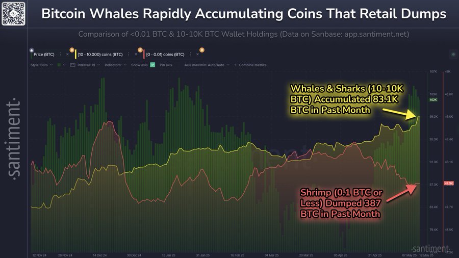 Data of Whales Accumulating and Selling off in the past 30 days