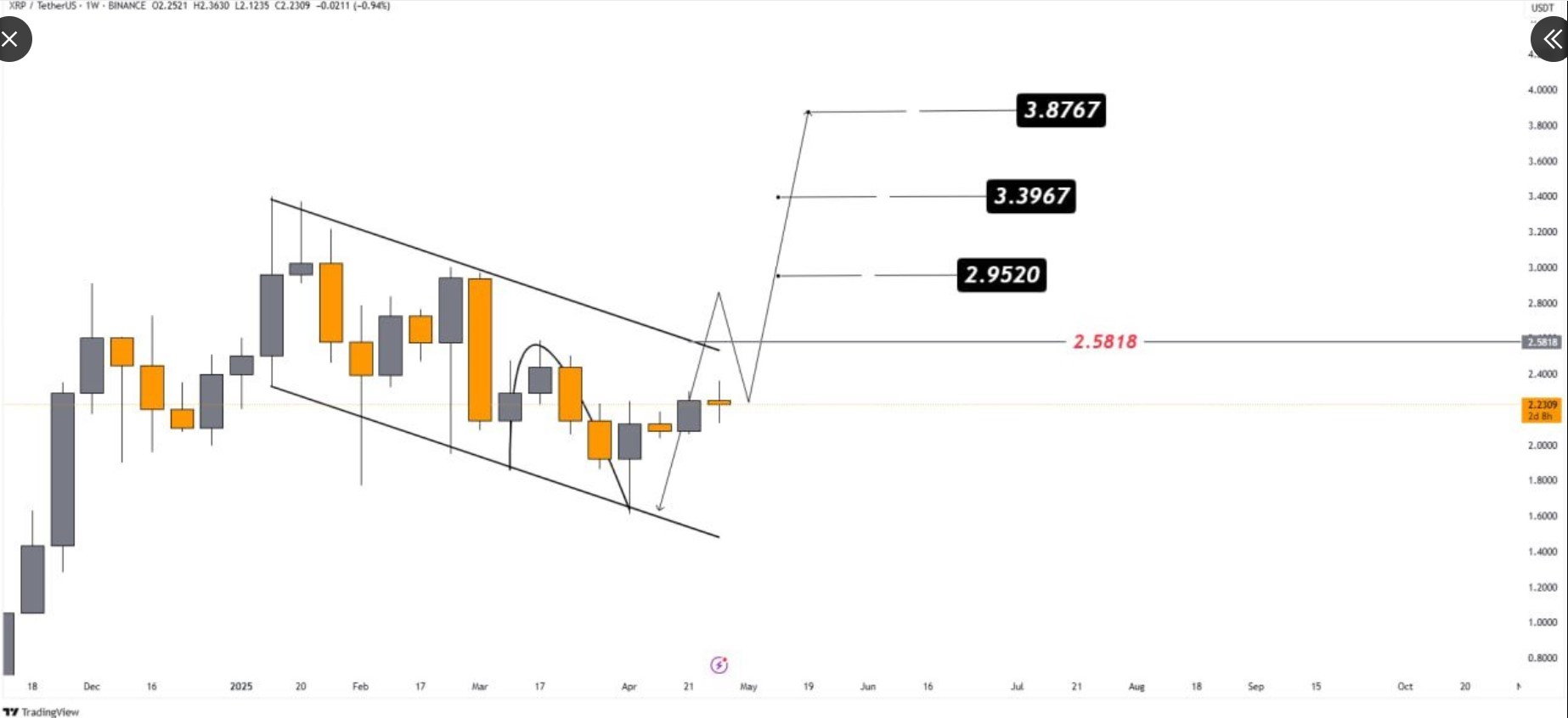 Will XRP Price Explode? 23% of US Investors Back Ripple as Whales Scoop 200M Tokens