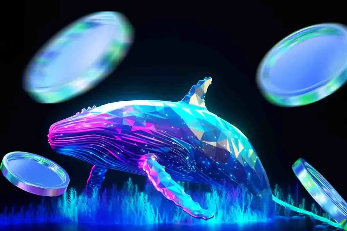 Top 4 Crypto to Buy This Weekend as Increasing Whale Activity Hints at Rally