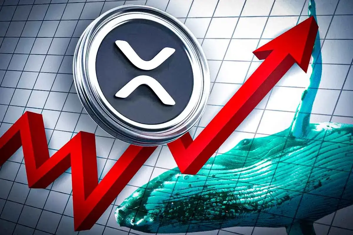 Will XRP Price Hit $12 in 2026: Elliott Wave Pattern, Whale Accumulation Signal Explosive Rally