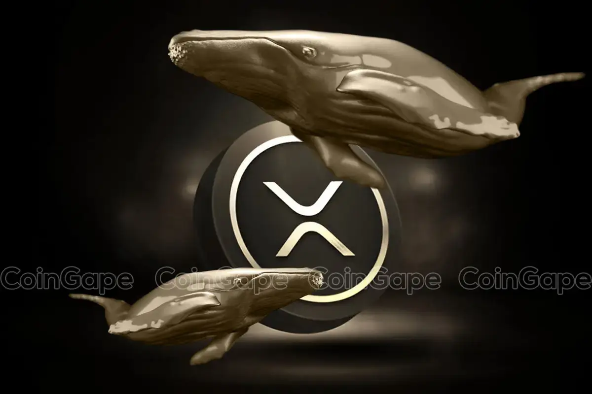 XRP News: Ripple Whales Moves $782M As Fed Leaves Rate Unchanged